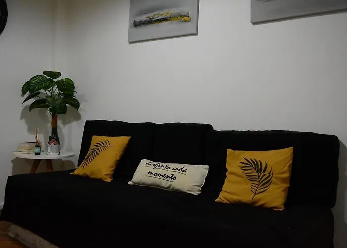 Apartament z 1 sypialnią